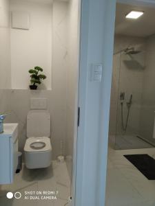 Kúpeľňa v ubytovaní Panoráma Apartman Tiszafüred + 14 fotografií
