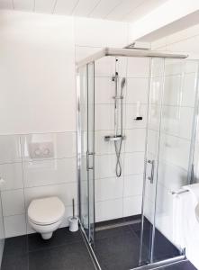 a bathroom with a toilet and a shower at Murgtal Motel in Rastatt