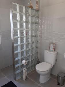 a bathroom with a toilet and a glass block wall at Los Torres Casa Lindsay in Arboleas