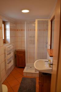 a bathroom with a shower and a sink at Alte Scheune Koserow App. 1 in Ostseebad Koserow