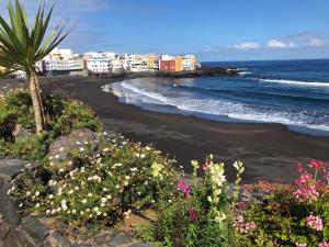 Apartamentos Bahia Playa, Puerto de la Cruz – Updated 2022 Prices