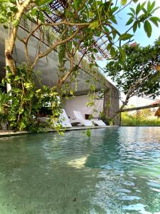 Swimmingpoolen hos eller tæt på The Hide Hostel at Canggu