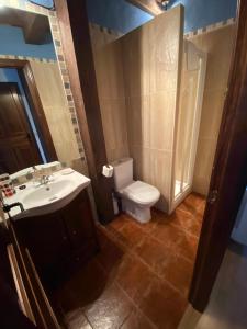 a bathroom with a toilet and a sink and a shower at Apartamentos Rurales La Antigua Fonda in Candelario