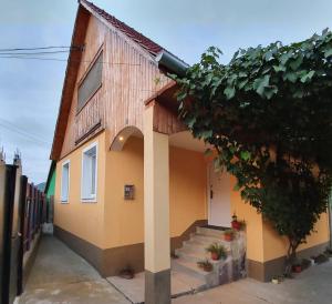 a building with a staircase next to a house at Casa Maria in Mălîncrav