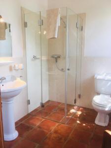 a bathroom with a shower and a toilet and a sink at Hof Rabenstein Ostsee bei Kühlungsborn in Kröpelin +24 photos