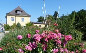 een huis met roze bloemen ervoor bij Cityhostel Wieselburg in Wieselburg