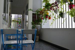 a porch with a blue bench and potted plants at Blossom Homestay in Tuy Hoa