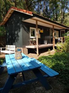 een blauwe picknicktafel voor een hut bij De Flierefluiter in Nutter