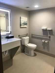 Koupelna v ubytování Comfort Inn Dallas North Love Field Airport