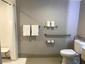 Koupelna v ubytování Comfort Inn Dallas North Love Field Airport
