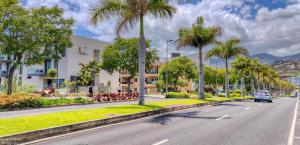 a car driving down a street with palm trees at Golden Residence Hotel in Funchal