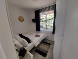 Posezení v ubytování Fenix apartman Vinci