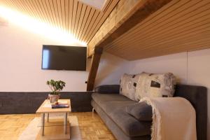 TV a/nebo společenská místnost v ubytování Berghof Vöglerbrand