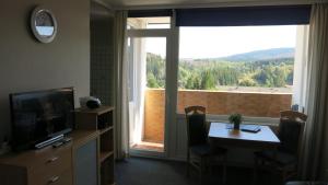 アルテンアウにあるFerienwohnung Harzのテーブル、テレビ、窓が備わる客室です。