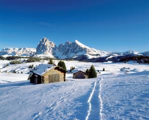 Apartment Weissenegger during the winter