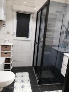a bathroom with a shower and a toilet and a sink at Zahra dor in Plombières-lès-Dijon +16 photos