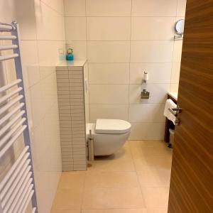 een kleine badkamer met toilet en wastafel bij Apartments B137 & B027 - Aparthotel Vučko in Jahorina