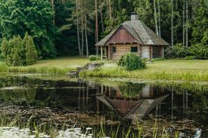 a log cabin next to a pond with lilies at Log Cabin in Kuldīga