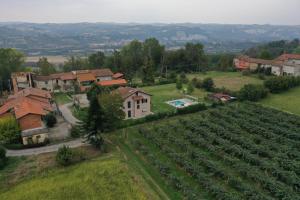 una vista aérea de una casa y un viñedo en Ospitidelpero, en Piozzo
