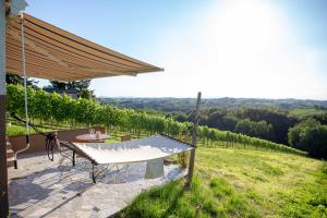 a swing on a patio with a view of a vineyard at House Thara Studio Apartments in Štrigova
