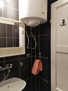 ein Badezimmer mit einem Waschbecken, einem WC und einem Spiegel in der Unterkunft Apartman IVANA in Vrdnik