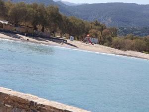un gran cuerpo de agua junto a una playa en Istron Corner Apartments en Istro