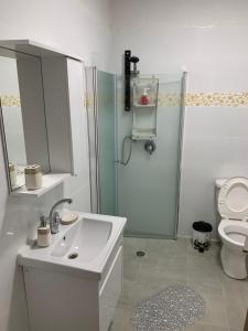 a bathroom with a sink and a shower and a toilet at EXCLUSIVE COMFORT PREMIUM in Beer Sheva +26 photos