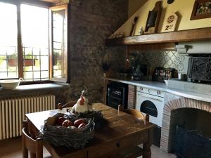 A kitchen or kitchenette at Tuscan Farmhouse in Castiglione di Garfagnana with Garden