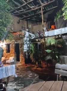 a patio with a fish pond in a yard at La Piedra Viva Agüimes , Siete hermanos in Agüimes