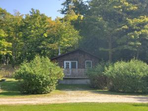 una pequeña casa con un porche en el bosque en Steffen's Cedar Lodge 