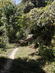 旅馆周边自然景观