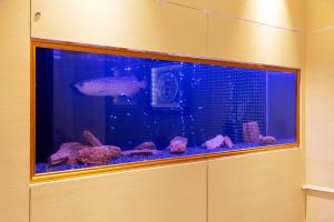 Fotografie z fotogalerie ubytování HOTEL Artia Izumiotsu (Adult Only) v destinaci Shōki