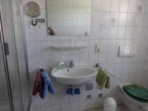 ein Bad mit einem Waschbecken und einem WC in der Unterkunft Ferien- und Obsthof Müller in Frickingen