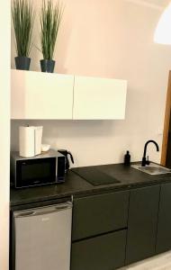 Kuchyň nebo kuchyňský kout v ubytování Apartamenty Długa 6