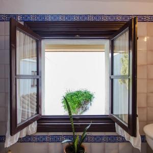 a window with a plant in a bathroom at Casa del siglo XVII in Seville