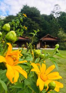Um jardim em Pousada Cabanas da Serra Lumiar
