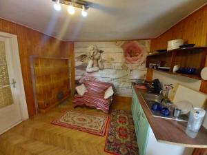 eine kleine Küche mit Spüle und ein Gemälde an der Wand in der Unterkunft Kert Övezeti Lakás in Gyöngyös