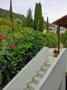 a staircase leading to a garden with pink flowers at Nikoli Apartments in Benitses