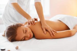 Lázně a/nebo wellness v ubytování Hotel Westend