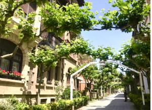 a street with buildings and trees and a person walking down the street at Estudio independiente Forget Me Not in Getxo