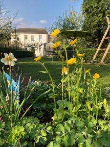 a garden with yellow flowers in a yard at Ferienhaus Plan B. Wittlich in Wittlich