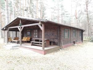 una cabaña de madera en el bosque con una mesa de picnic en Ferienhaus Waldhütte Ferch, en Schwielowsee