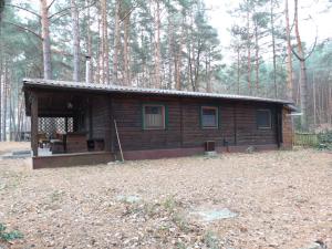 a small log cabin in the middle of a forest at Ferienhaus Waldhütte Ferch in Schwielowsee