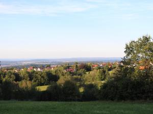 a green field with trees and houses in the distance at Ferienwohnung Bienenherz in Engelsbrand