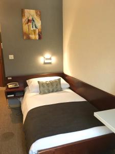 ein Hotelzimmer mit einem Bett in einem Zimmer in der Unterkunft La Dent-du-Midi Hôtel & Restaurant in Saint-Maurice