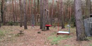 a park with two swings in the woods at Ferienhaus Waldhütte Ferch in Schwielowsee
