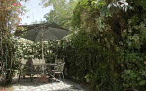 a table and chairs under an umbrella in a garden at Linda casa para grupos / familias in Santiago