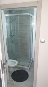 uma casa de banho com uma cabina de duche em vidro e um WC. em Mieszkanie 2 pokojowe Pomorzany em Szczecin