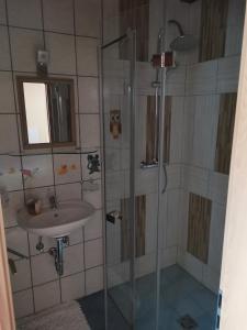 La salle de bains est pourvue d'une douche et d'un lavabo. dans l'établissement Landgasthof Negrean, à Modriach