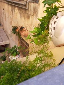 A garden outside Litium 3